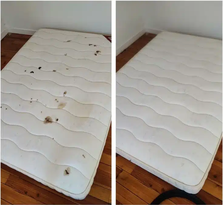 Matelas traité en profondeur DADA Service