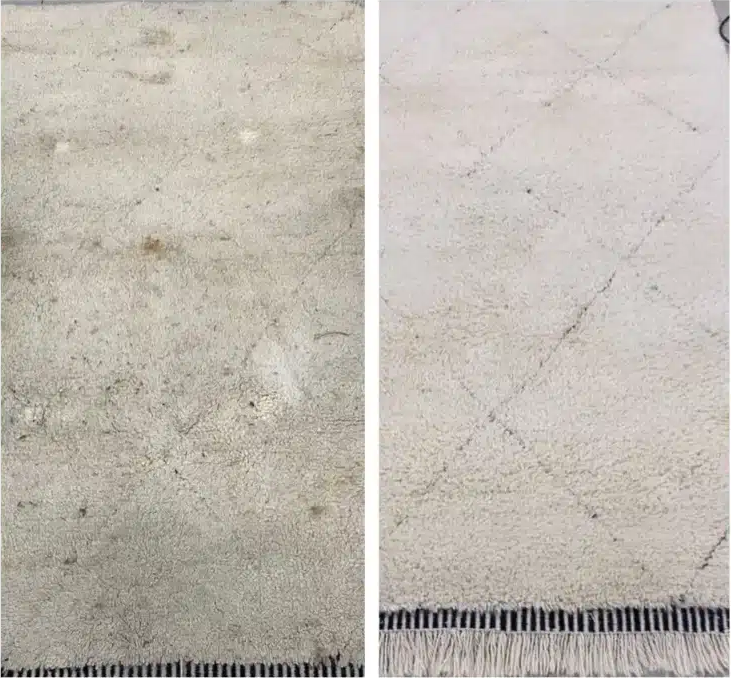 Tapis avant / après DADA Service